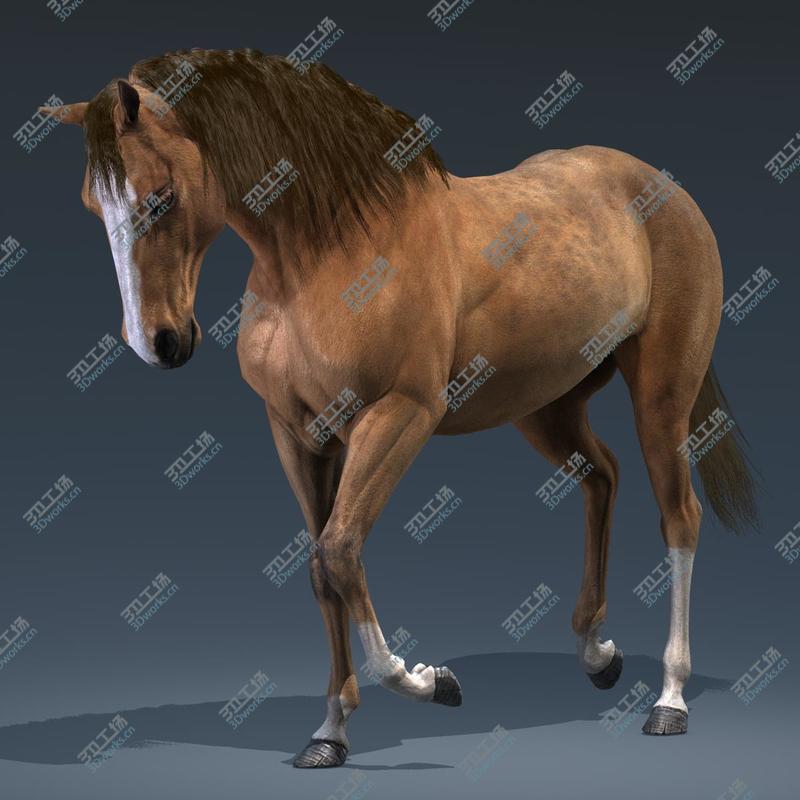 images/goods_img/20210313/3D Horses (Rigged) model/5.jpg